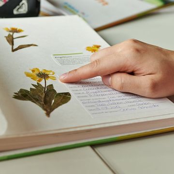 dm-Lernling zeigt ihr Herbarium