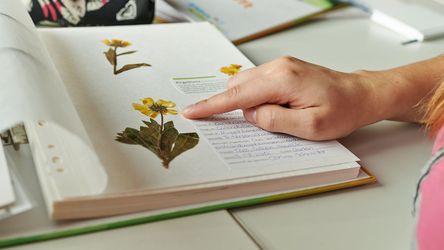 dm-Lernling zeigt ihr Herbarium